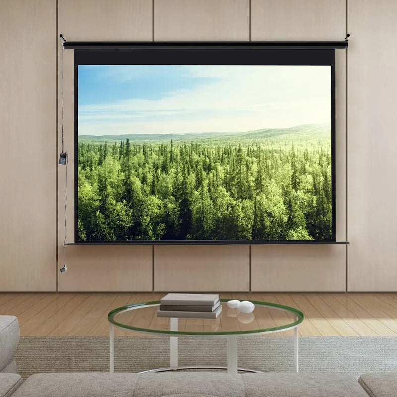 Outdoor Electric Projector Screen Projector Screen